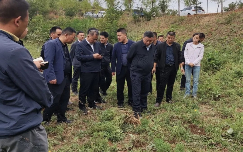 天水市政協(xié)副主席、清水縣委書記馬越垠到“榮程百草莊園”中藥材試驗基地調(diào)研中草藥產(chǎn)業(yè)發(fā)展工作