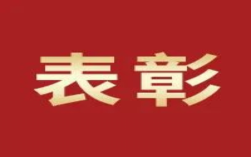 奮進(jìn)2023，這些集體和個(gè)人無(wú)上“榮”光